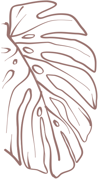 Decorative leaf outline