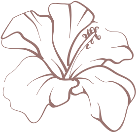 Decorative flower outline
