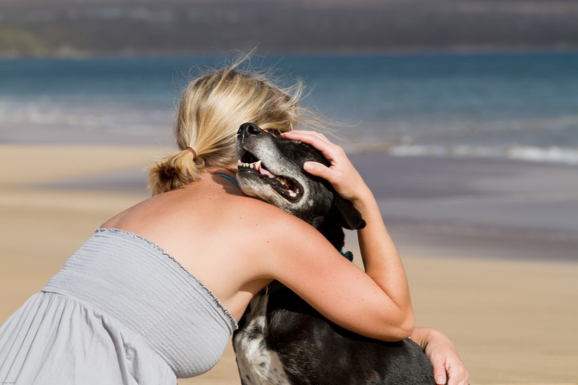 Veterinarians Near Me