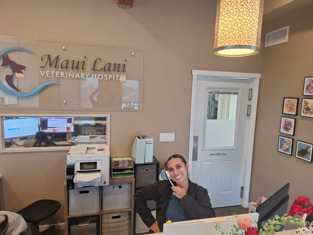 Maui Veterinarian