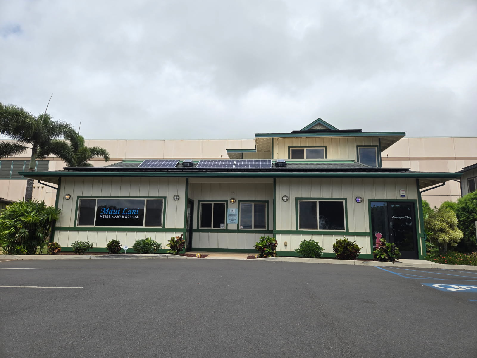 Maui Lani Veterinary Hospital in Kahului Maui, HI Maui Lani Veterinary Hospital in Kahului Maui, HI